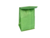 AirLift Replacement Paper Bag (green)